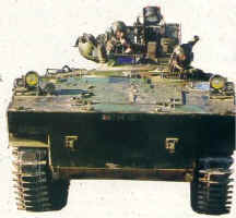 AMX10P.jpg (44023 octets)