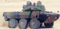 AMX10RC.jpg (26631 octets)
