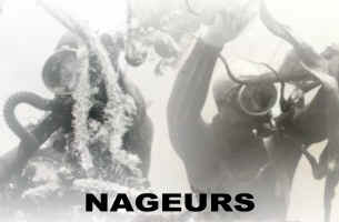 NAGEURS2.jpg (166981 octets)